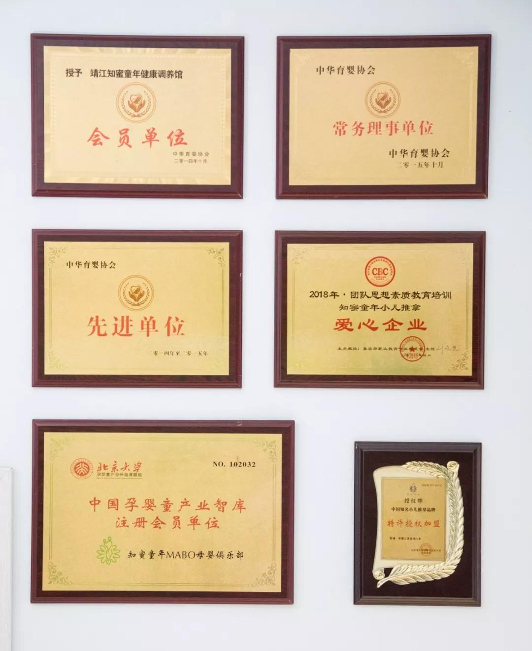 知蜜最早版，探索与启示的旅程