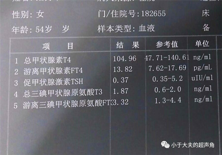 血常规的早期版本，历史沿革与现代应用探究