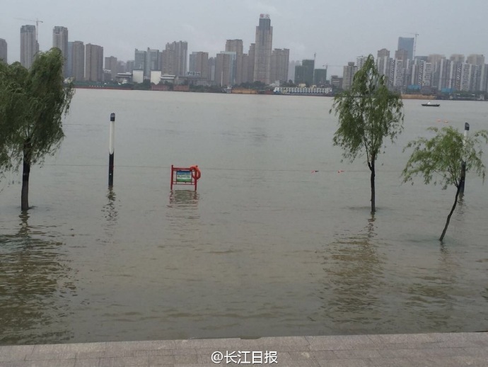 武汉长江水位的历史变迁及其深远影响