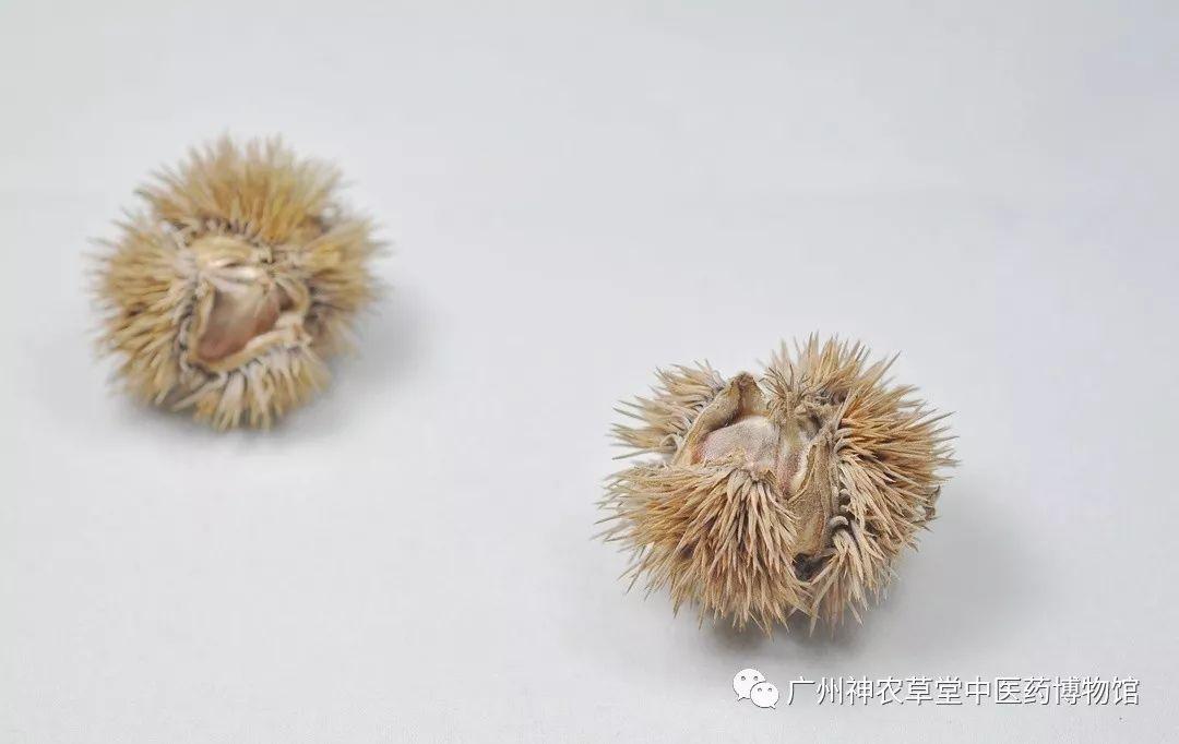 新闻活动 第121页
