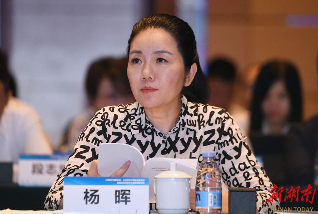 杨晖传奇崛起与影响力揭秘