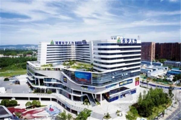 精彩音乐汇，起源、展望与2025年音乐盛宴