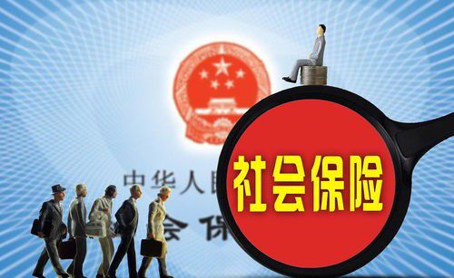 办酒政策的历史演变与现代实践，从起源到发展之路探索