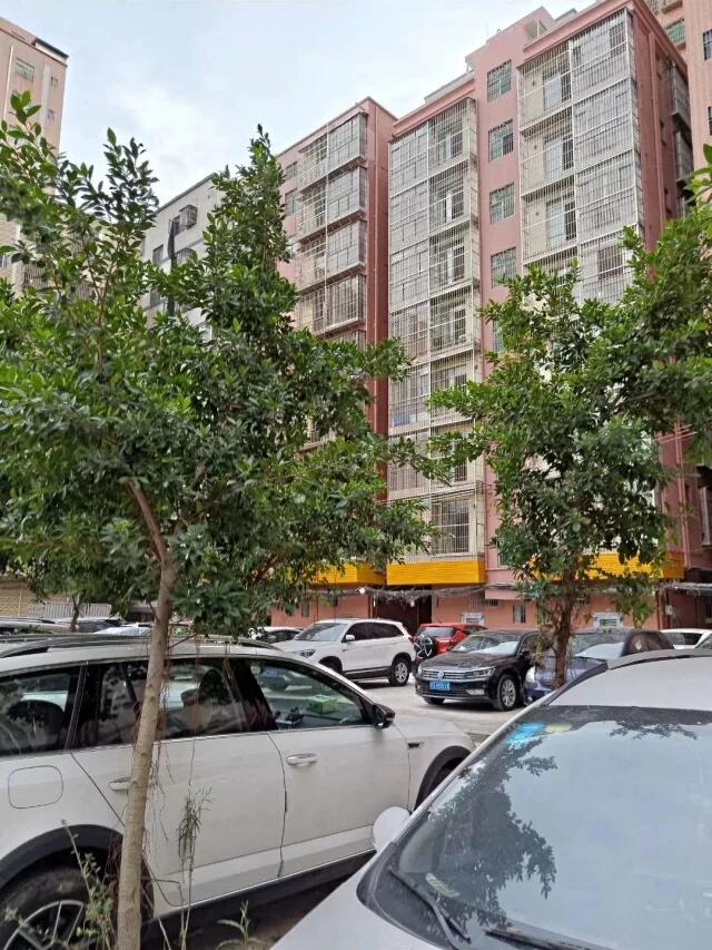 龙华小产权房早期价格及其历史背景解析