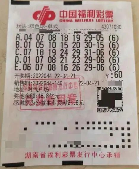 2025年4月 第119页