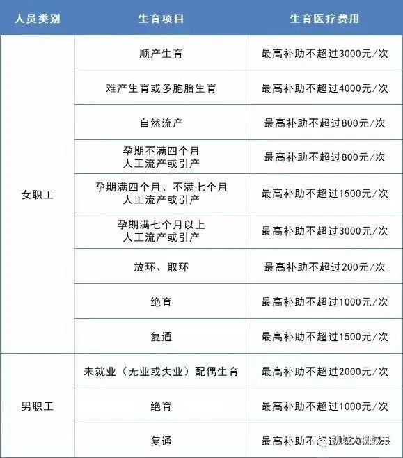 生育税政策的历史演变与当代思考，从最早政策出发的探讨