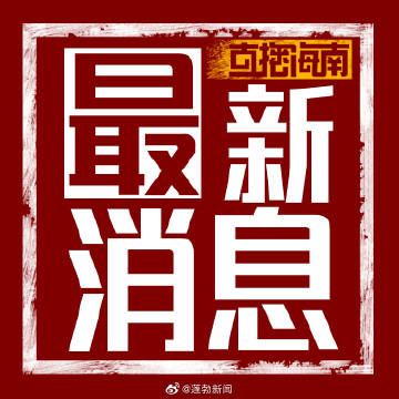 梅飞白