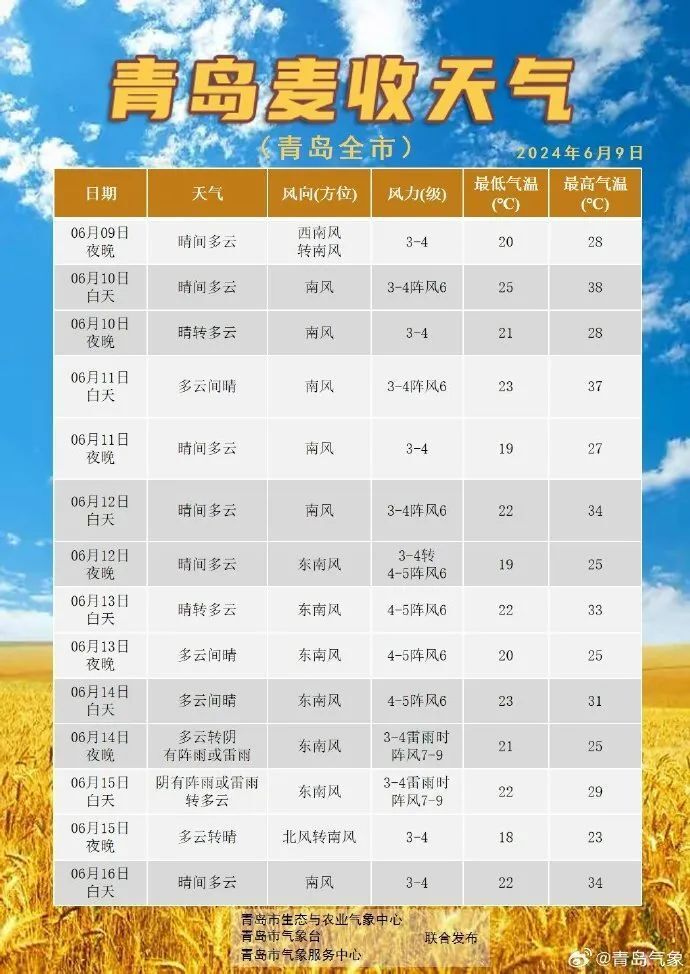 2025年5月4日 第2页