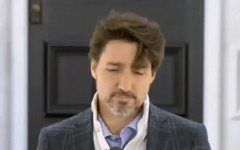 加拿大疫情最早情况探究与分析
