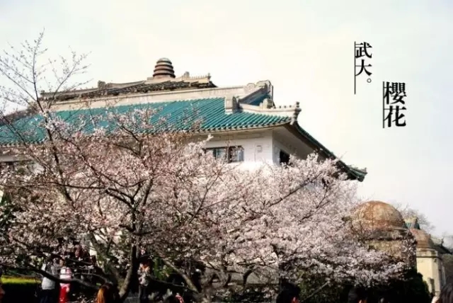 武汉最早一期，历史沿革与早期发展回顾